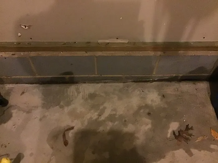 Advance Pest Control Picture 5