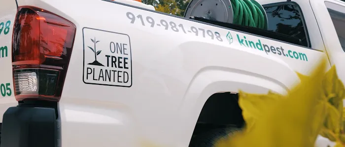 Kind Pest Control Picture 6