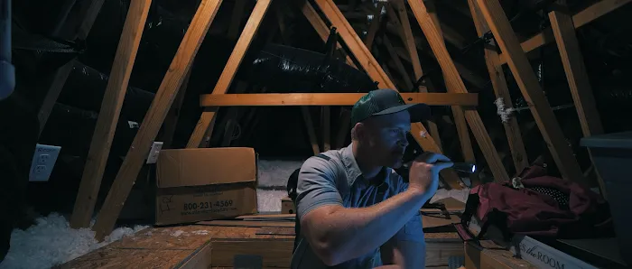 Kind Pest Control Picture 9