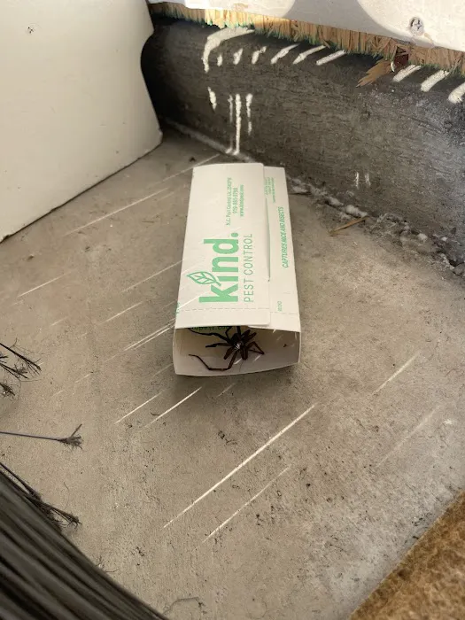 Kind Pest Control Picture 3