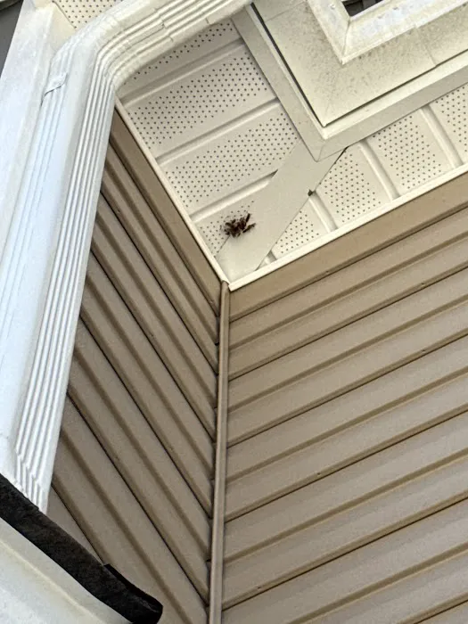 ProForce Pest Control - Raleigh Picture 4