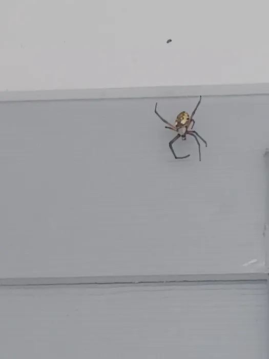 ProForce Pest Control - Raleigh Picture 3