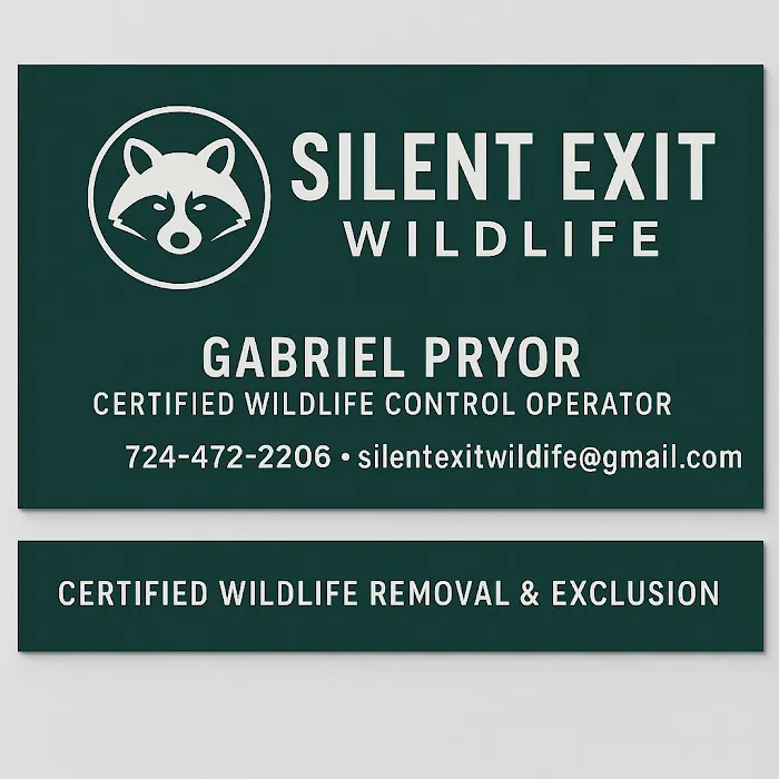 silent exit wildlife removal Picture 7