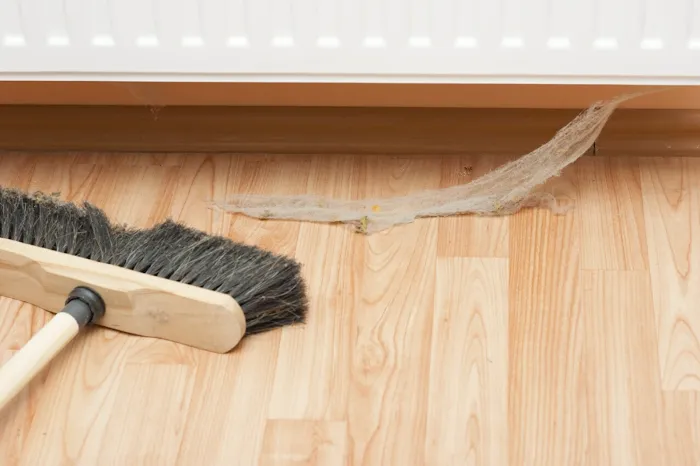Nitro Pest Solutions, LLC Picture 6