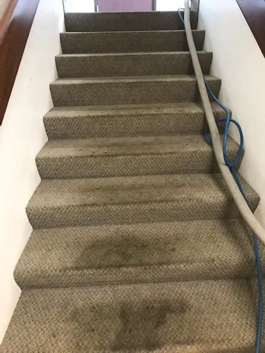 RestorePro Disaster Cleanup & Restoration Picture 8