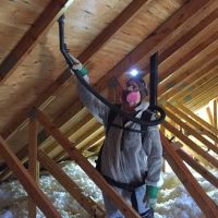 MAD Cleaning, LLC ico