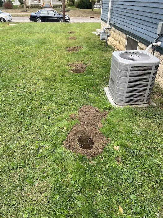 Buckeye Wildlife Solutions NW Picture 4