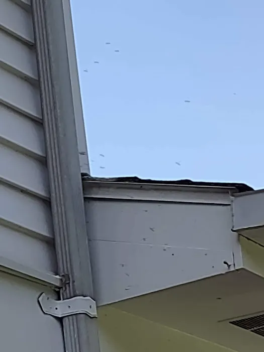419 Pest Control LLC Picture 4