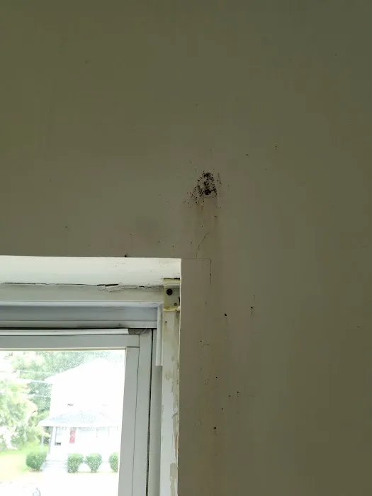 Buggish Pest Control LLC Picture 5