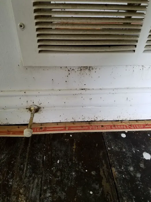 Buggish Pest Control LLC Picture 1