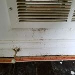 Buggish Pest Control LLC