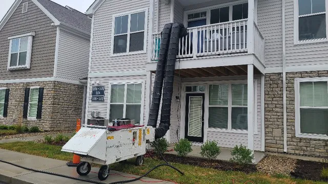 Integrity Pest Solutions Picture 2