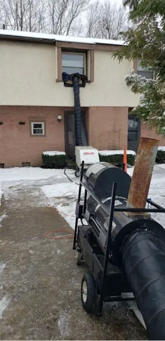Integrity Pest Solutions Picture 4