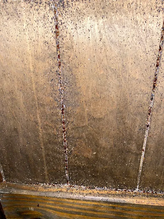Advanced Environmental Pest Solutions Picture 4