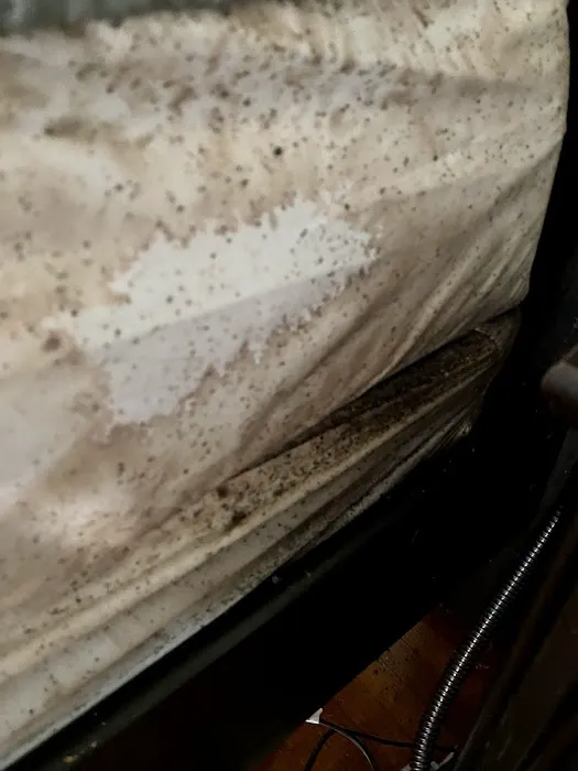 Advanced Environmental Pest Solutions Picture 5