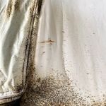 Advanced Environmental Pest Solutions