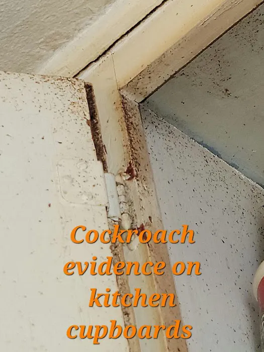 Robbins Pest Control LLC Picture 7