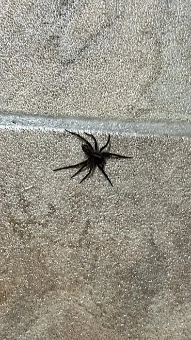 Robbins Pest Control LLC Picture 2