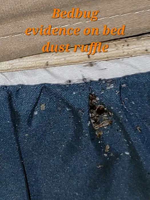 Robbins Pest Control LLC Picture 8