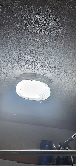 Robbins Pest Control LLC Picture 5