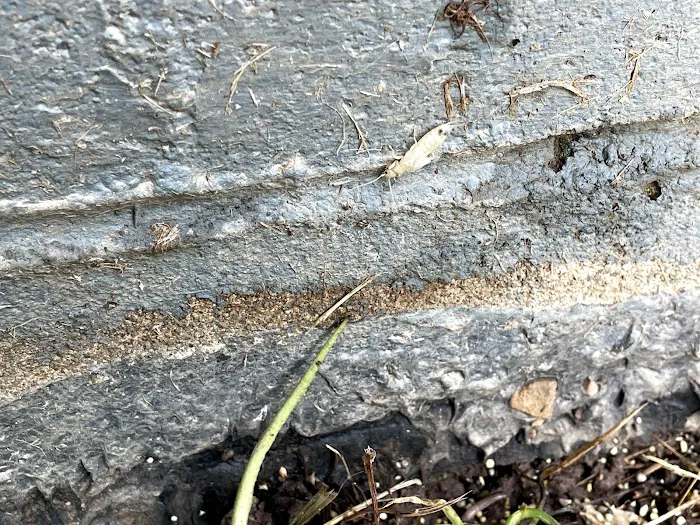 Kidwell Pest Management Picture 6