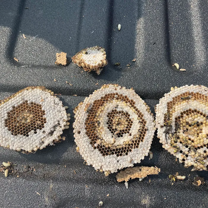 Kidwell Pest Management Picture 10