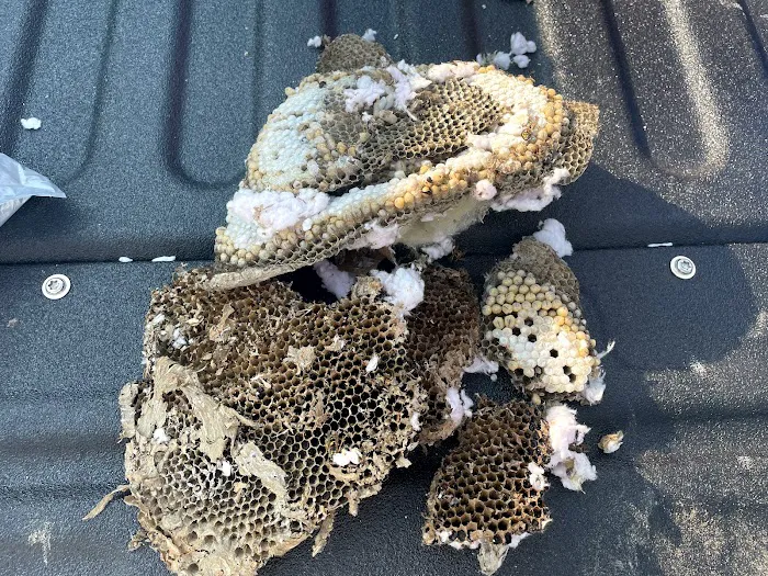 Kidwell Pest Management Picture 8