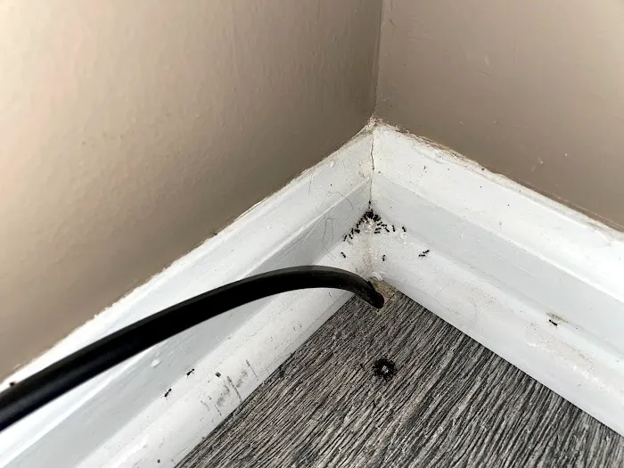 Kidwell Pest Management Picture 1
