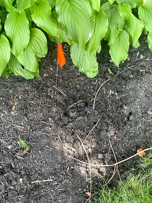 Kidwell Pest Management Picture 7