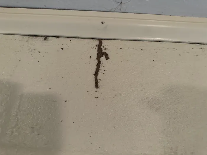 Professional Bug Solutions Picture 6