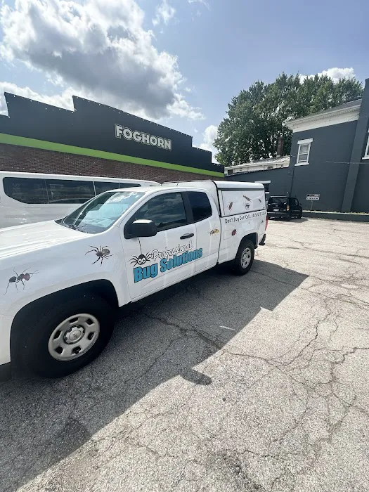 Professional Bug Solutions Picture 7