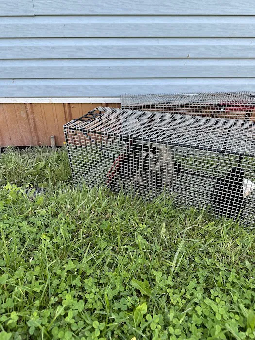 Zuckerman's Pest Management Picture 3