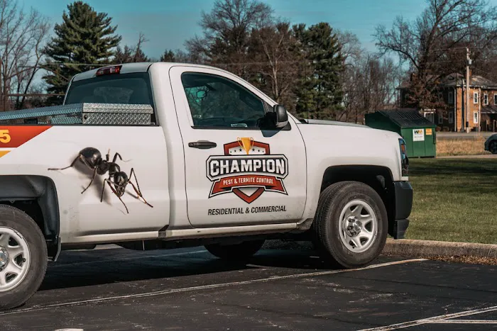 Champion Pest & Termite Control Picture 1