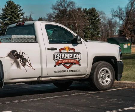 Champion Pest & Termite Control