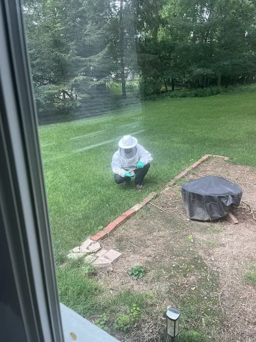 Mint Pest Control Columbus Picture 4