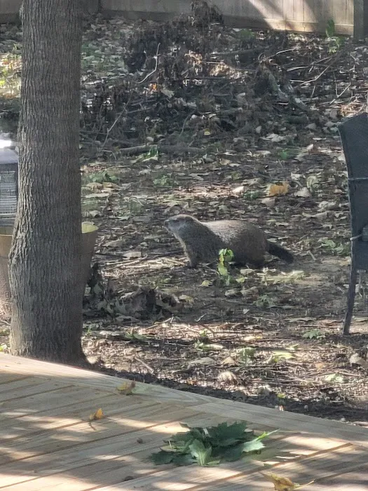 Green Valley Wildlife Solutions LLC Picture 5