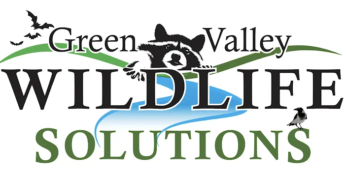 Green Valley Wildlife Solutions LLC Picture 4