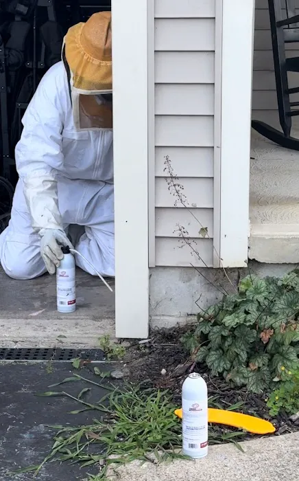 Environmental Pest Management Picture 4