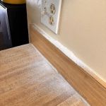 Environmental Pest Management