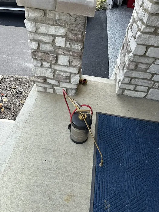 Moxie Pest Control Picture 1