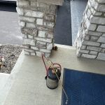Moxie Pest Control