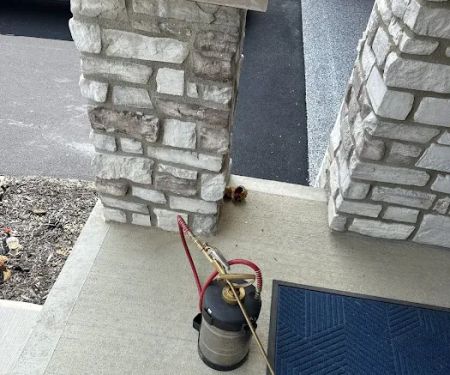 Moxie Pest Control
