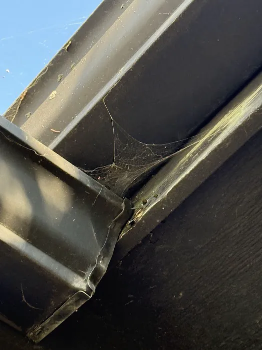 Moxie Pest Control Picture 8
