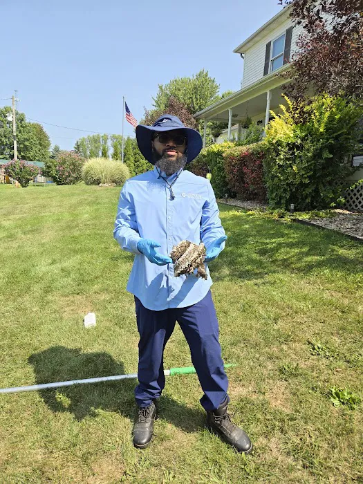 Moxie Pest Control Picture 7