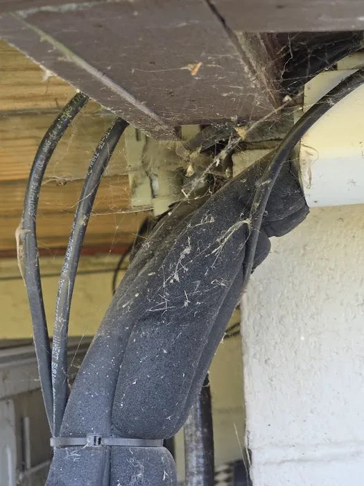 Moxie Pest Control Picture 4