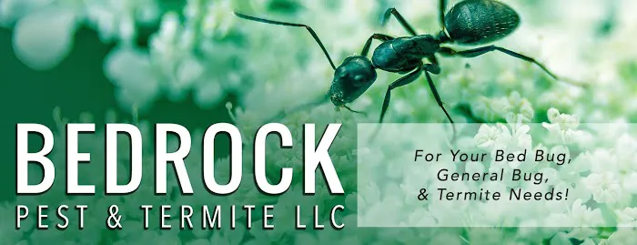 Bedrock Pest & Termite LLC Picture 1