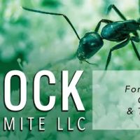 Bedrock Pest & Termite LLC ico