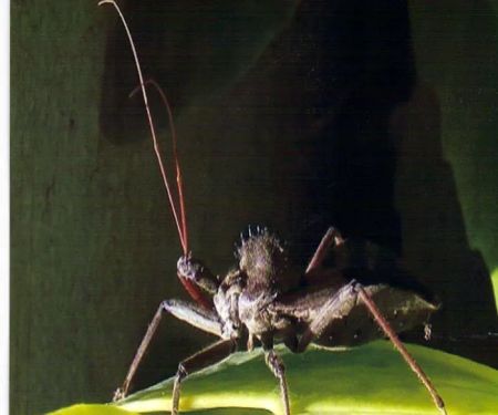 Wells Pest Control
