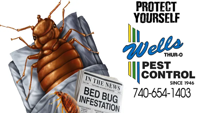 Wells Pest Control Picture 5