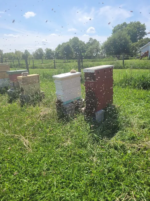 My Bee Supply LLC Picture 4